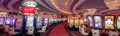 wynn71